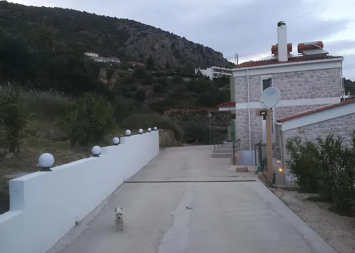 Πέτρα, Ελιά Και Λεβάντα
