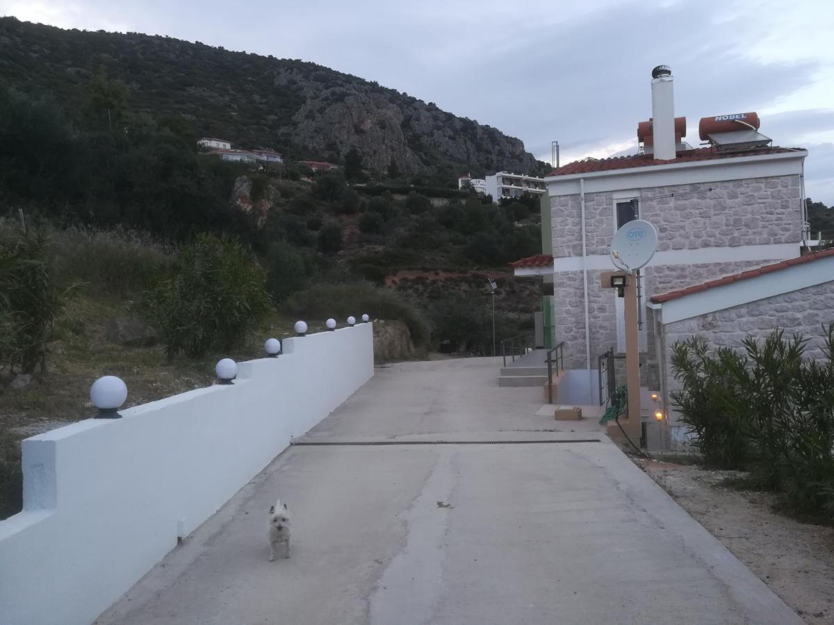 πέτρα, ελιά και λεβάντα Tolo