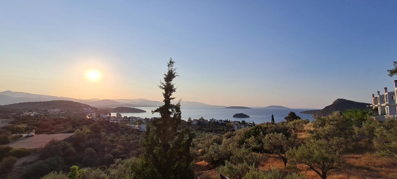 πέτρα, ελιά και λεβάντα Tolo