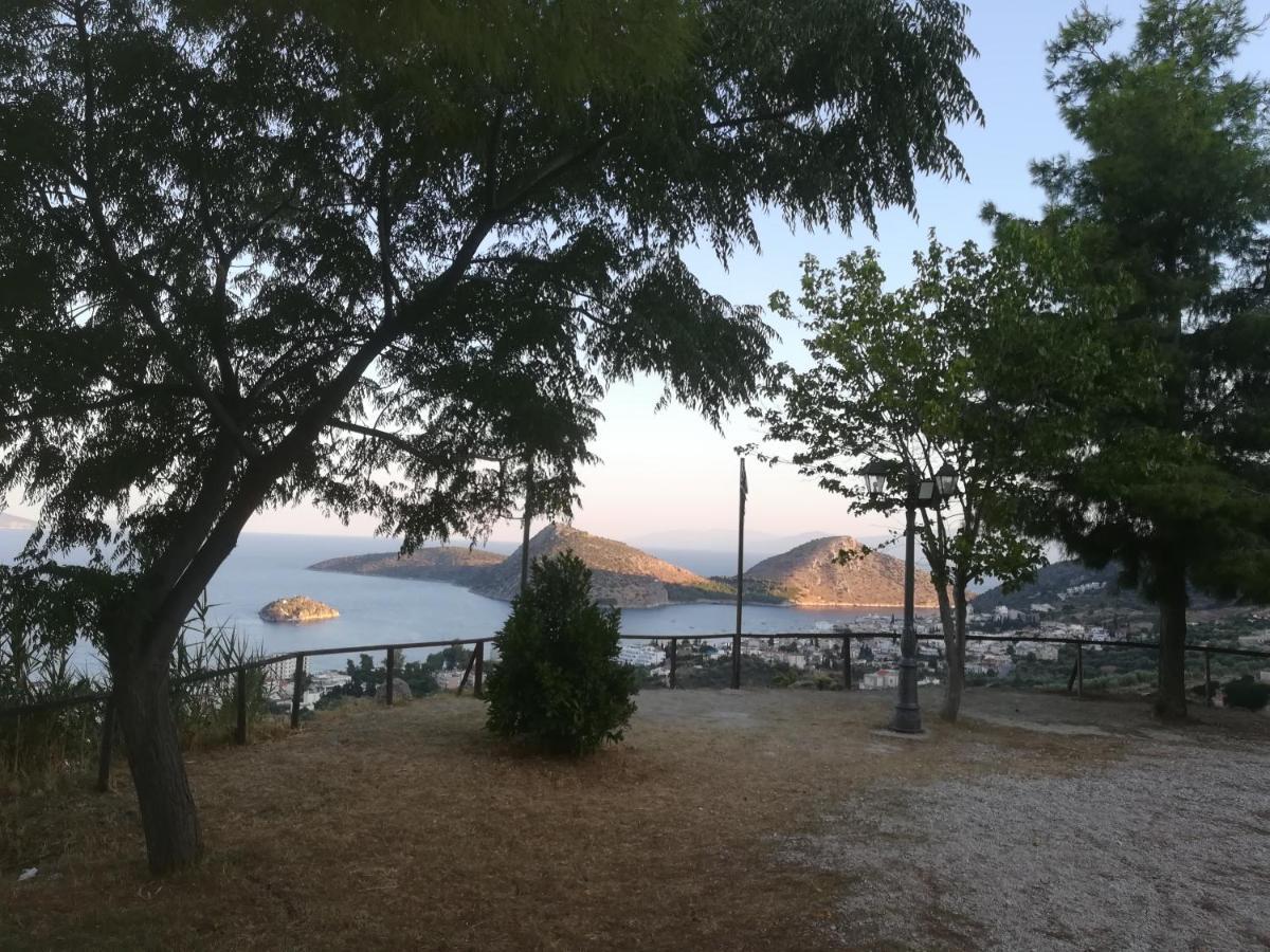πέτρα, ελιά και λεβάντα Hébergement de vacances *