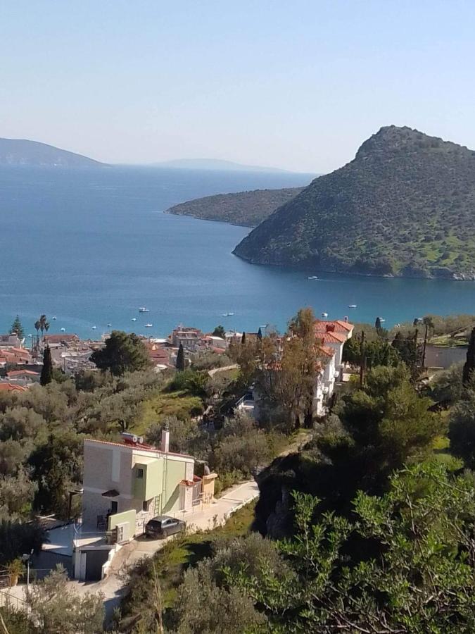 πέτρα, ελιά και λεβάντα Hébergement de vacances Tolón
