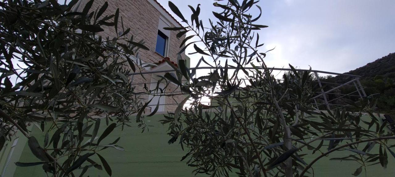 πέτρα, ελιά και λεβάντα Tolón