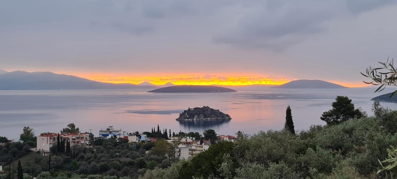 πέτρα, ελιά και λεβάντα Holiday home Tolo