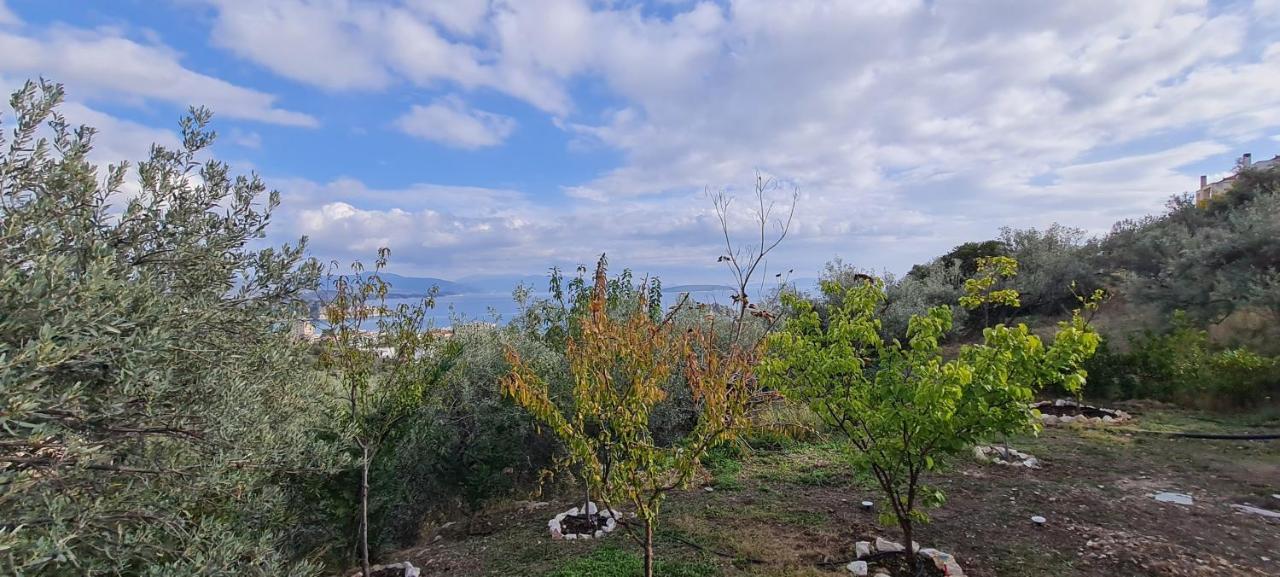 Holiday home πέτρα, ελιά και λεβάντα Tolo